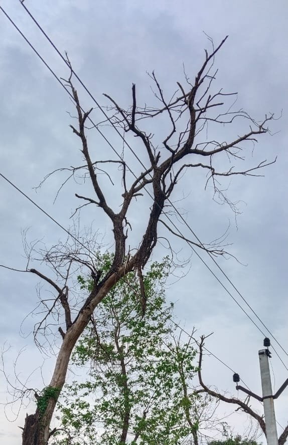 Khabre Aaj Bhi