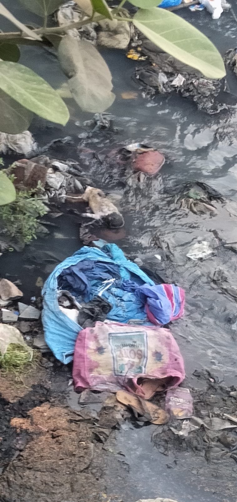 Khabre Aaj Bhi